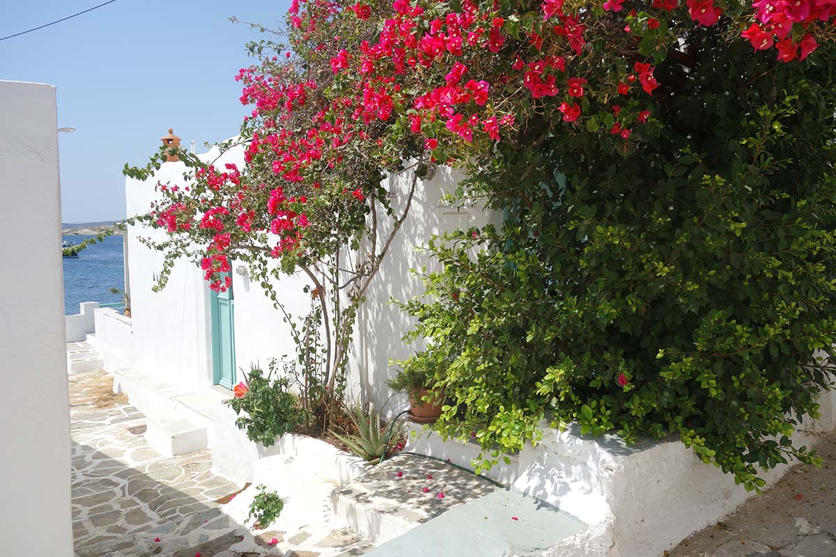 Promenade dans le village de Faros