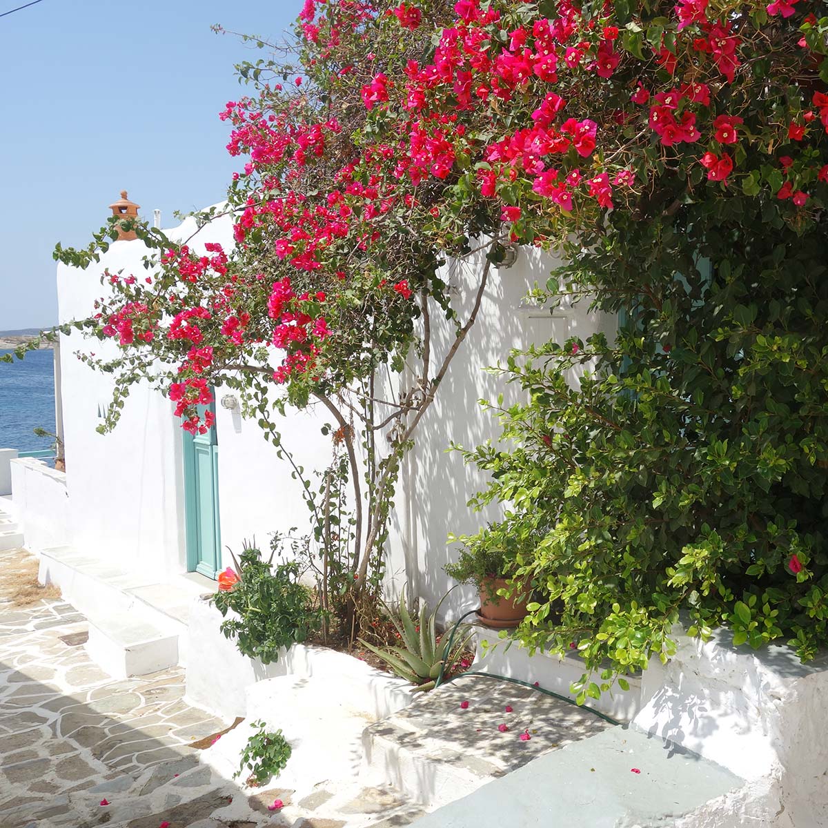 Au cœur du village de Faros à Sifnos